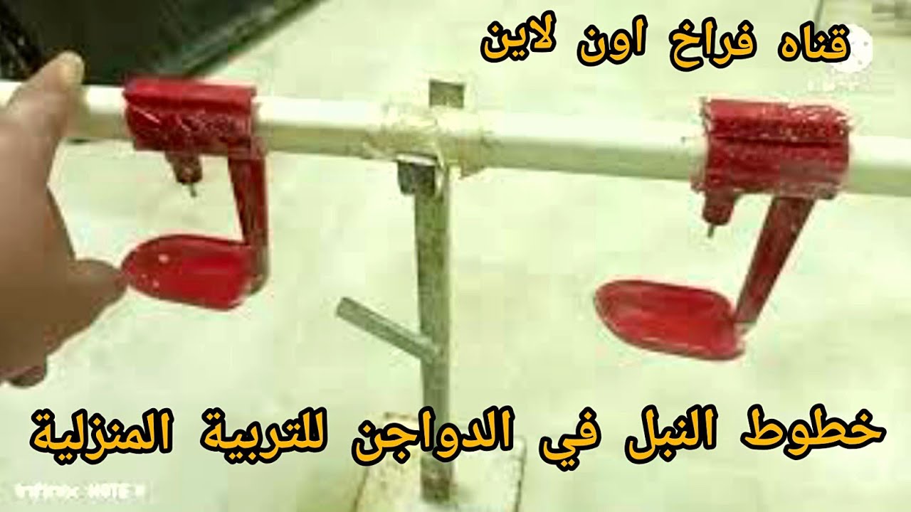 التربية المنزلية باستخدام سقايات خطوط النبل الاتوماتك في الدواجن لتوفير المساحة والوقت والجهد ٢٠٢٢