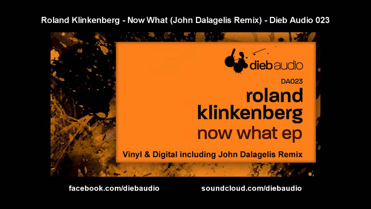Roland Klinkenberg - Now What (John Dalagelis Remix) - Dieb Audio 023
