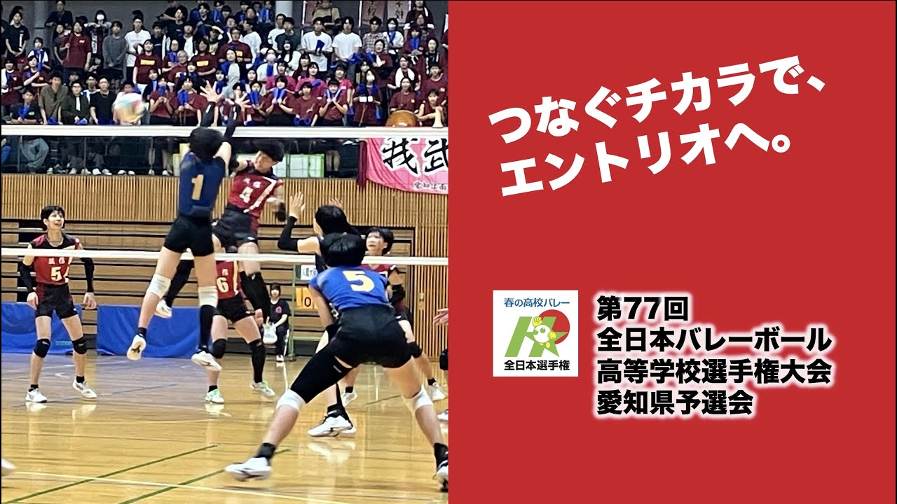【インタビュー】第77回全日本バレーボール高等学校選手権大会　愛知県　女子決勝進出校