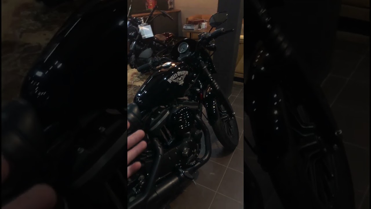 HARLEY-DAVIDSON XL883L