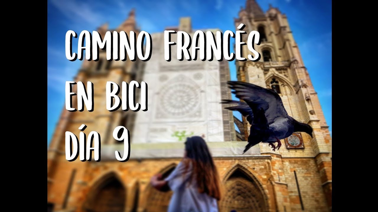 El CAMINO francés en BICI. Día #9. Camino de SANTIAGO. Sahagún - León