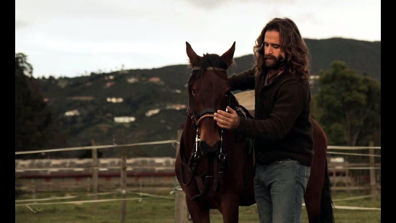 Cómo Hacer Masajes a un Caballo - TvAgro por Juan Gonzalo Angel