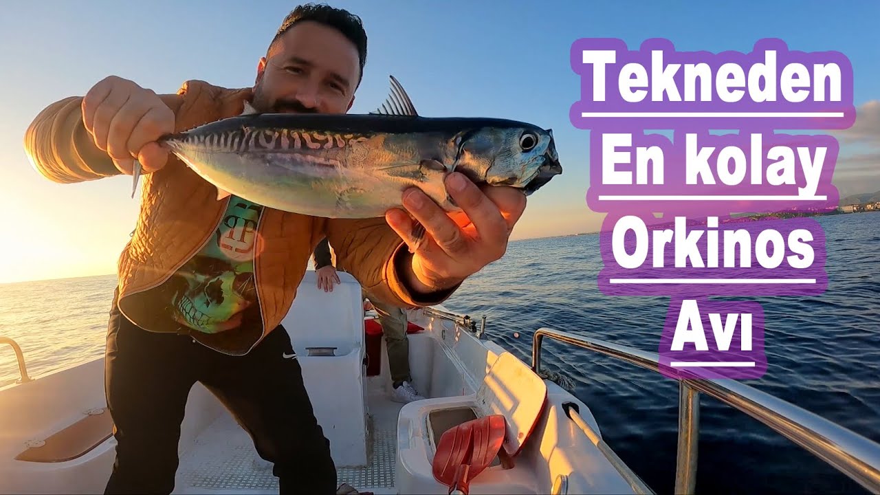 Tekneden Sırtı İle Yazılı Orkinos Avı..En Kolay Orkinos Yakalama Tekniği Budur...
