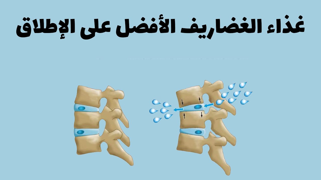 غذاء الغضاريف الأفضل على الإطلاق لضمان صحة و إعادة ترميم و بناء غضاريف الجسم بشكل صحيح