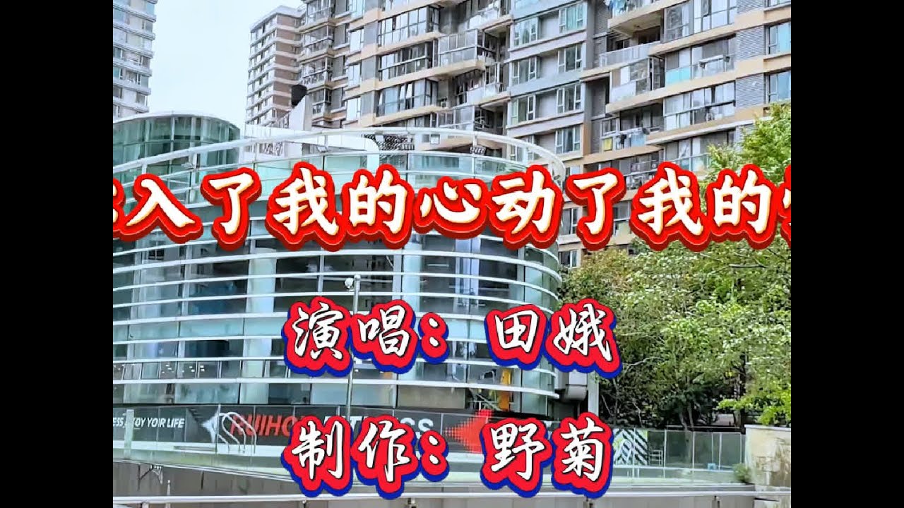 田娥演唱《你入了我的心动了我的情》旋律优美深情入心，百听不厌#百听不厌 #风景 #好歌推荐 #风景如画的地方 #歌曲读不懂你的心