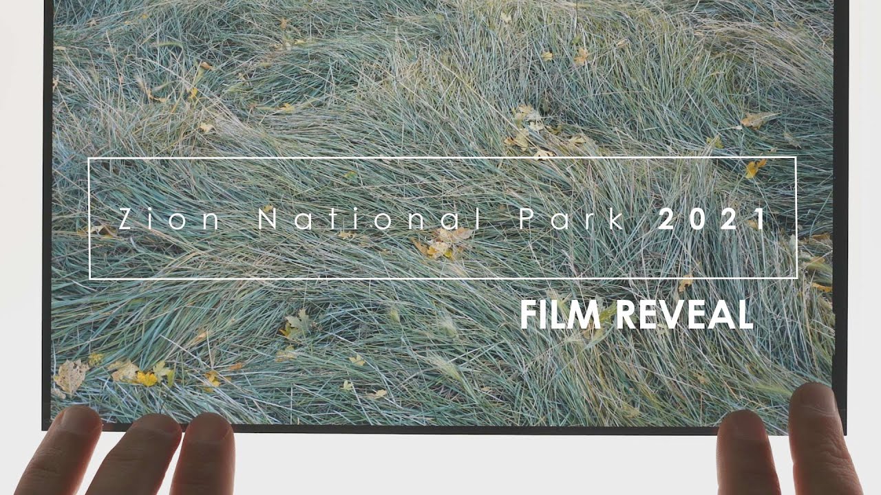 Zion Fall 2021: показ фильма