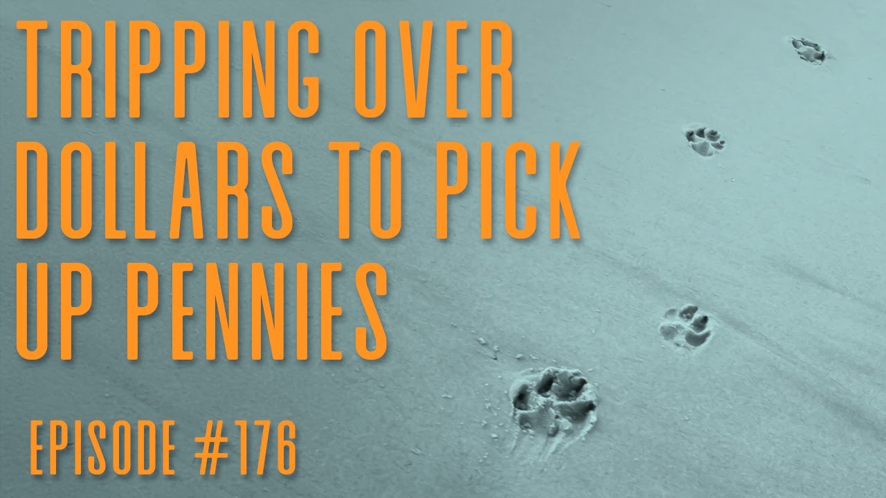 Epeisode 176 – Tripping over Dollars to Pick up Pennies
