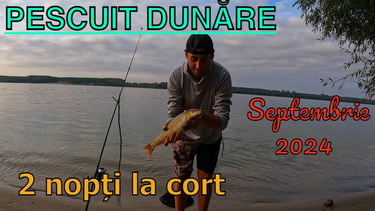 Plajă Sălbatică Pe Dunăre în Județul Olt  și O Aventură Unică de Pescuit în Septembrie