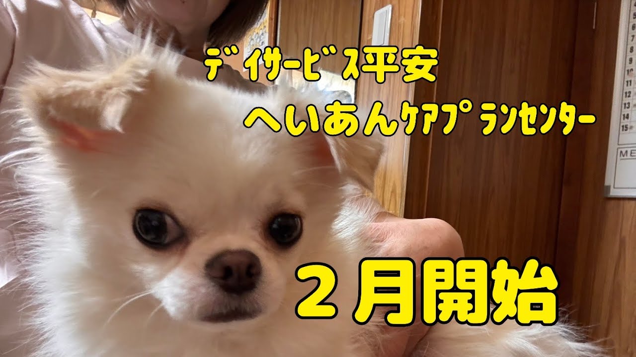 【Vlog765】ﾃﾞｲｻｰﾋﾞｽ平安　へいあんｹｱﾌﾟﾗﾝｾﾝﾀｰ  ２月開始