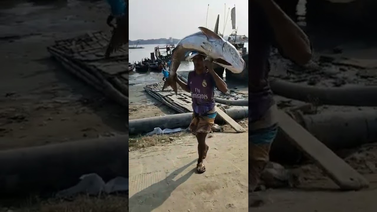big fish Bangladesh Cox Bazar Samudra Saikat