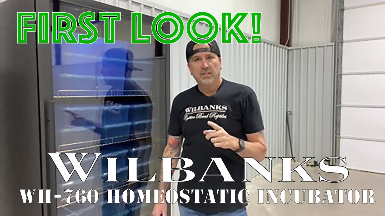 First Look!  Wilbanks Homeostatic Incubator Model WH 760   HD 1080p