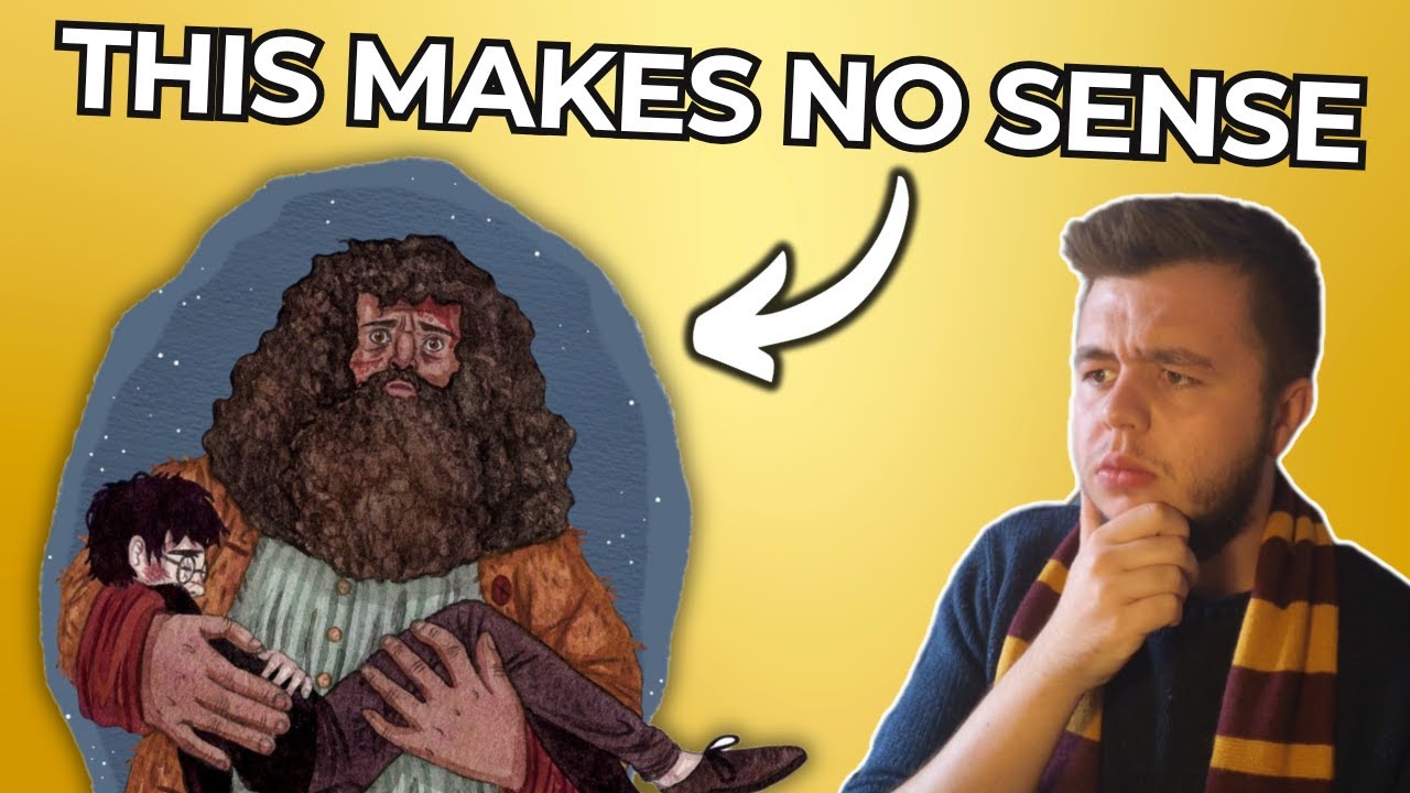 The WORST Plothole in Every Harry Potter Book