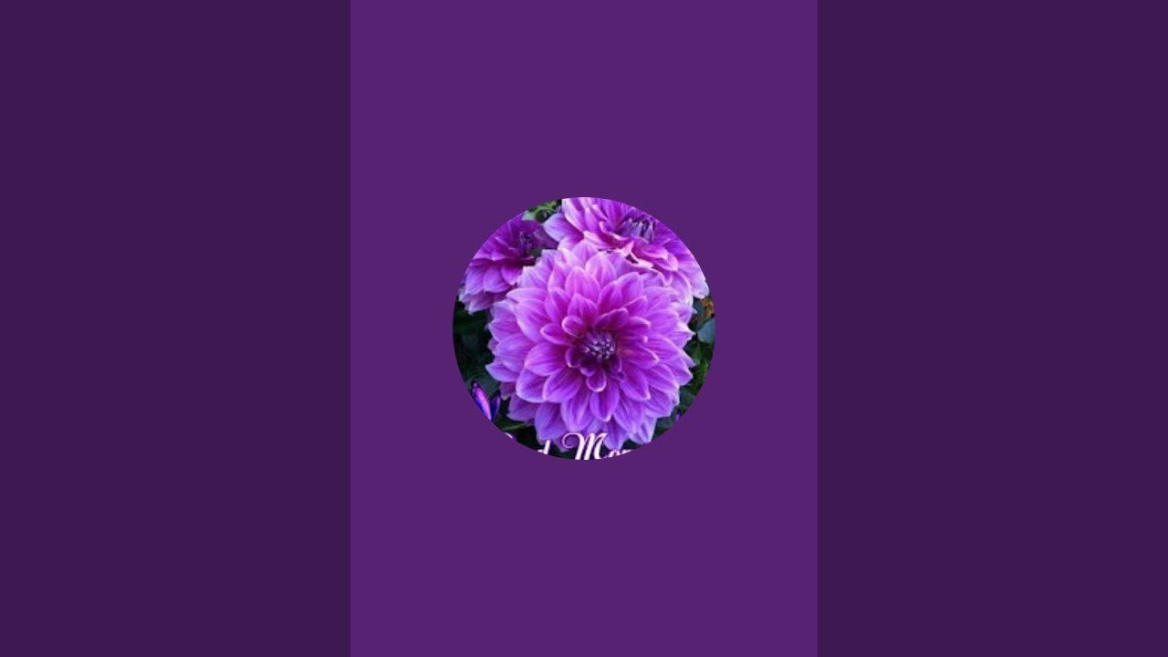 ATCHAYA TNPSC ACADEMY  is live