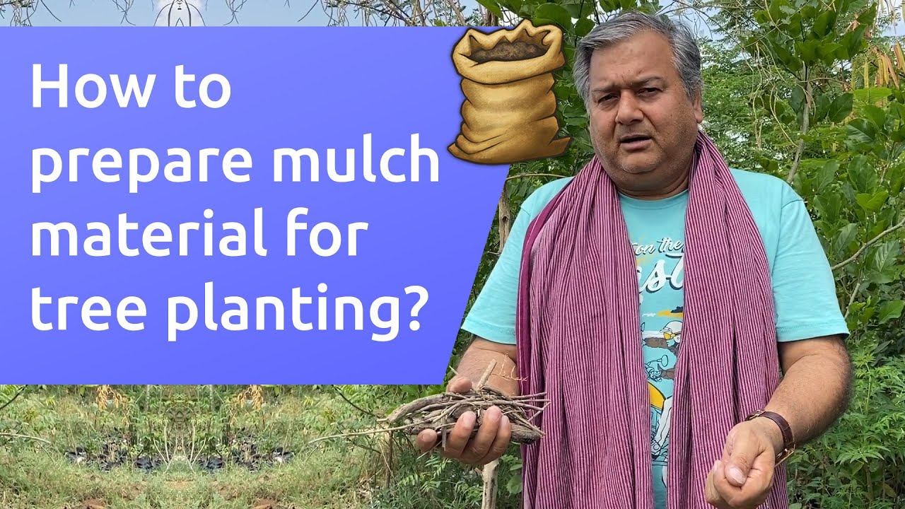 What is mulching and what are its benefits?