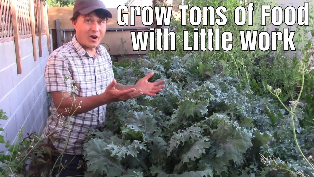 How to Grow an Enormous Vegetable Garden with Very Little Work