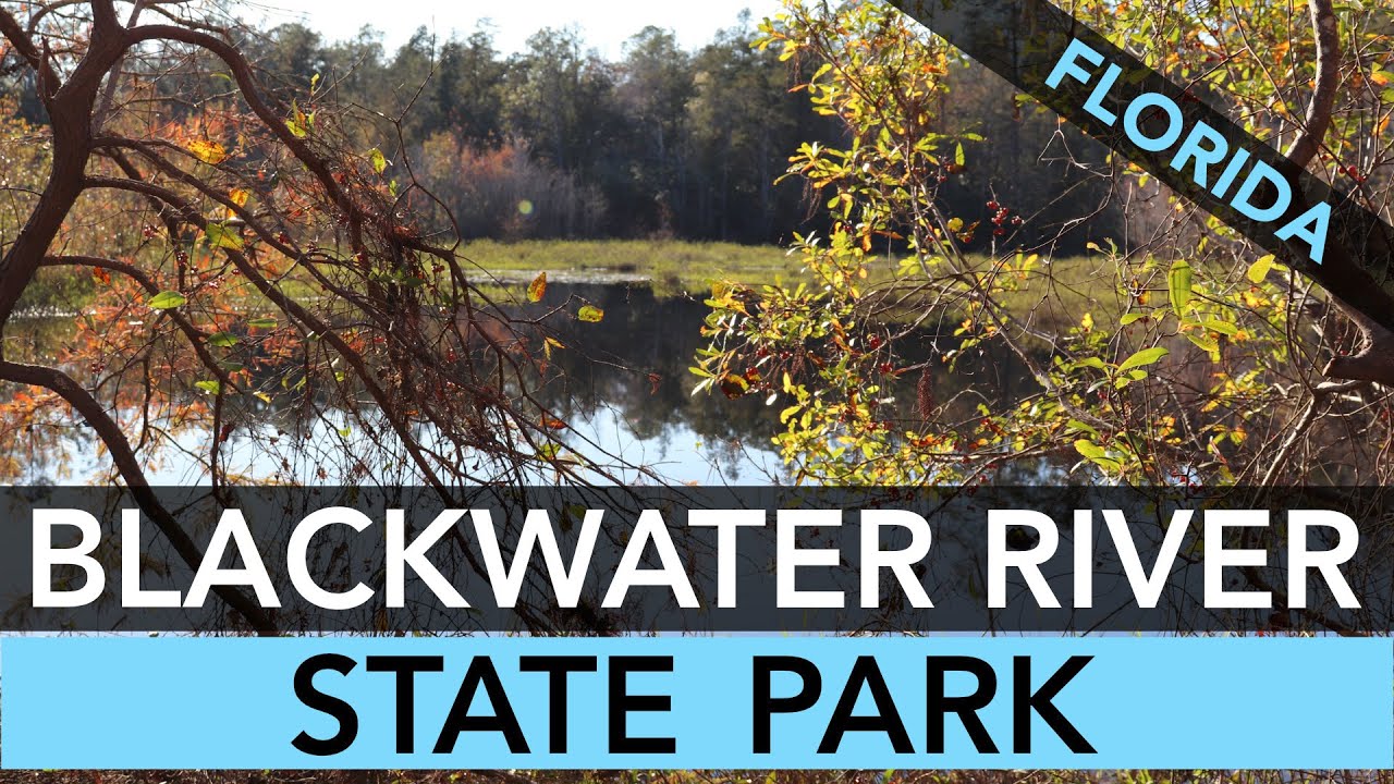 Blackwater River State Park, Florida - Campground Review