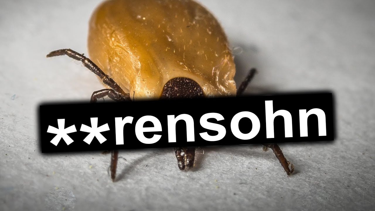 Zecken die **rensöhne