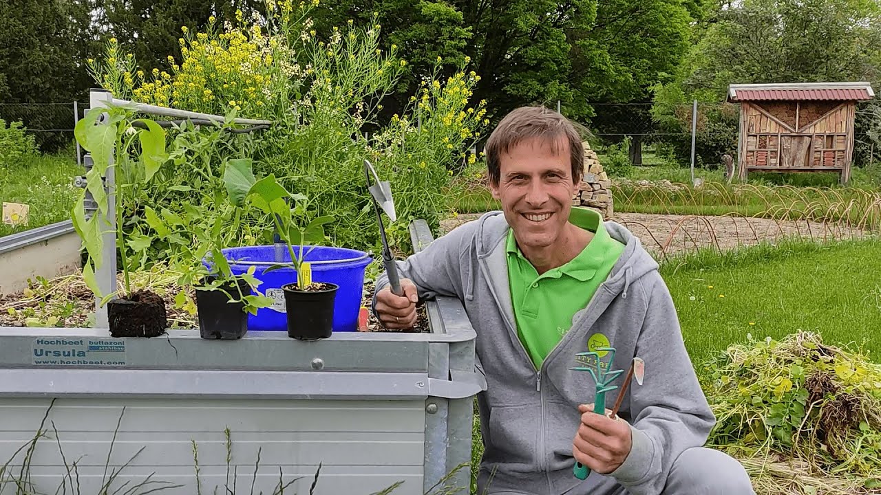 Tomaten, Gurken & Paprika richtig pflanzen 🍅🥒 Beetvorbereitung, Startdüngung und Pflanzenpflege 👨‍🌾