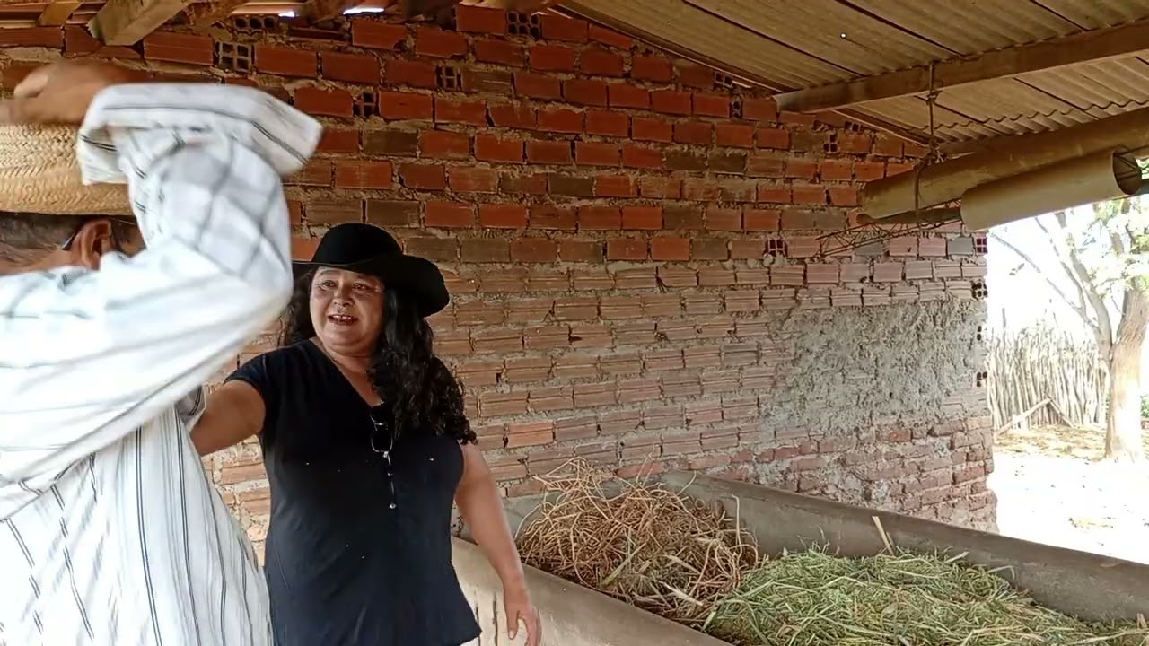 Zé da roça leva uma surra da patroa