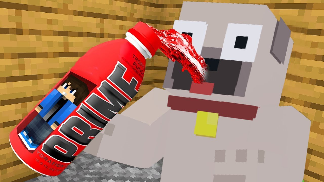 DANI REJTETT PRIME BÁZISA A MINECRAFTBAN!