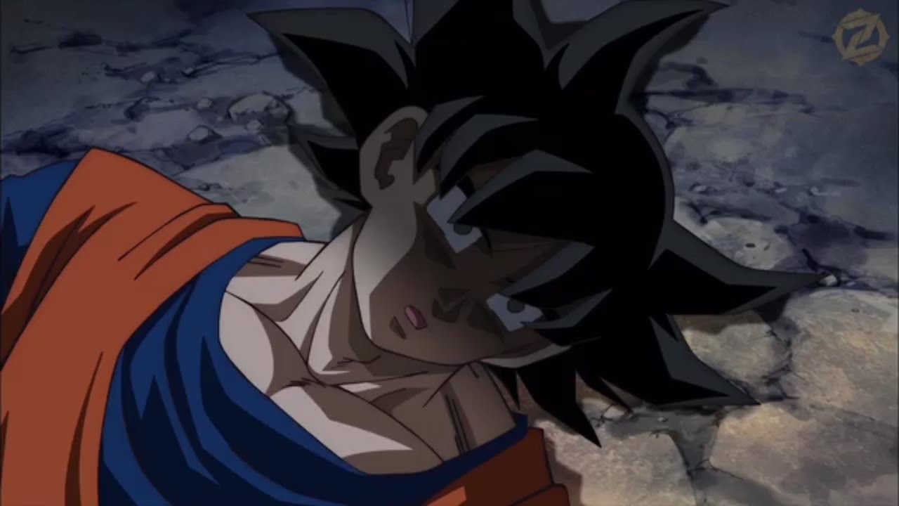 Dragon Ball Z /Sailor Moon / Goku and Usagi