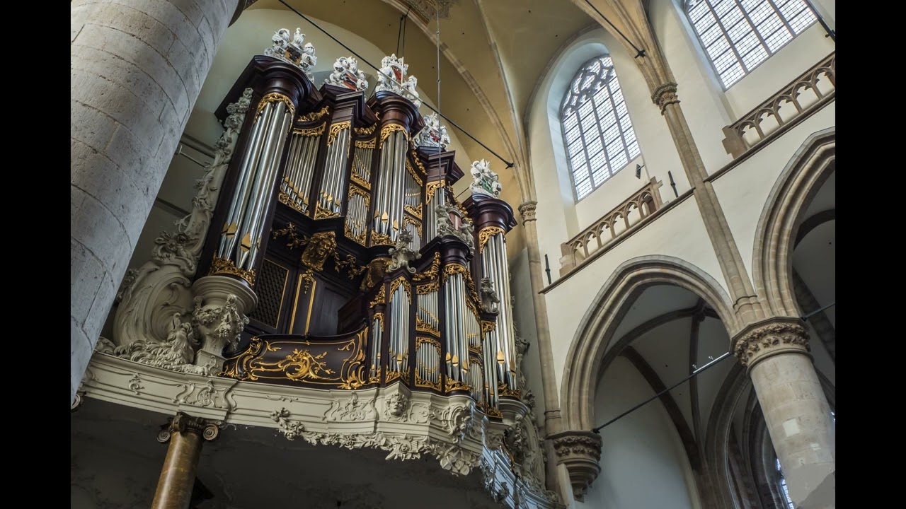 Improvisatie over: Daar juicht een Toon,daar klinkt een Stem, sample Kam orgel Dordrecht