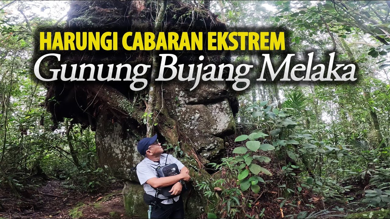 Ekspidisi Gunung Bujang Melaka, Ada wajah sedih terbentuk di bongkah batu. Cemas Harimau Mengaum