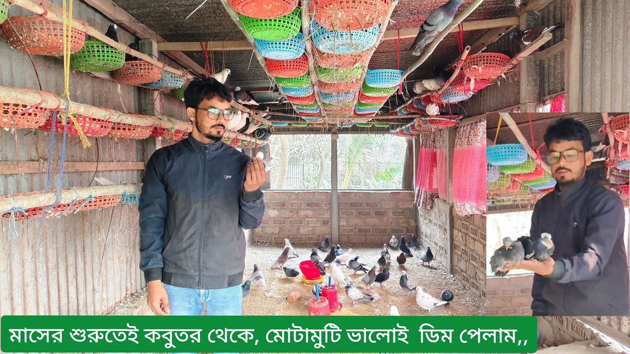 মাসের শুরুতেই কবুতর থেকে, মোটামুটি ভালোই  ডিম পেলাম,,