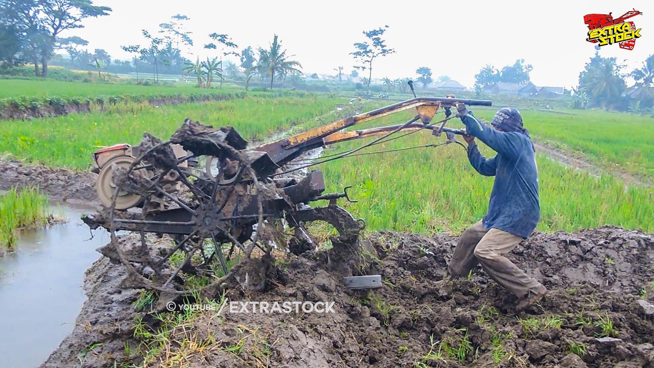 Meski Diguyur Hujan!! Traktor Sawah Pindah Lahan Tetap Lanjut Garap