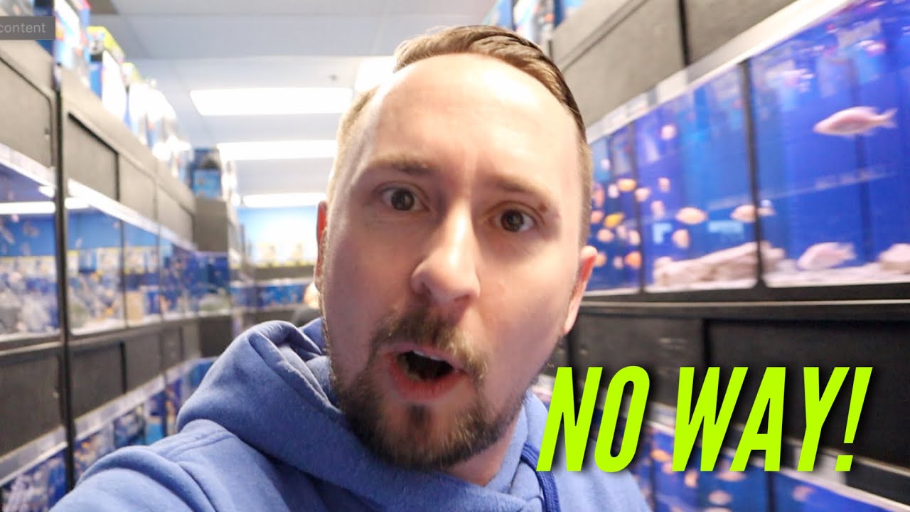 FISH STORE TOUR - RARE CICHLIDS