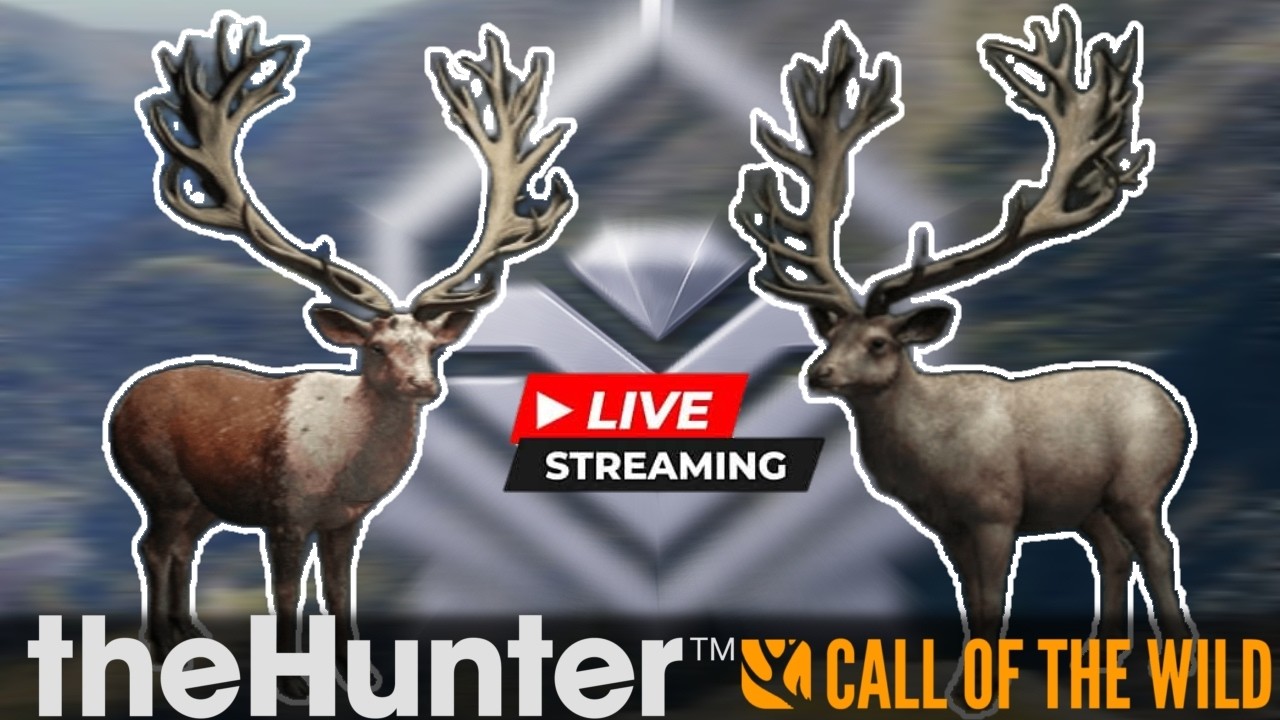 Grind de Veado Vermelho do Zero - The Hunter Call of The Wild