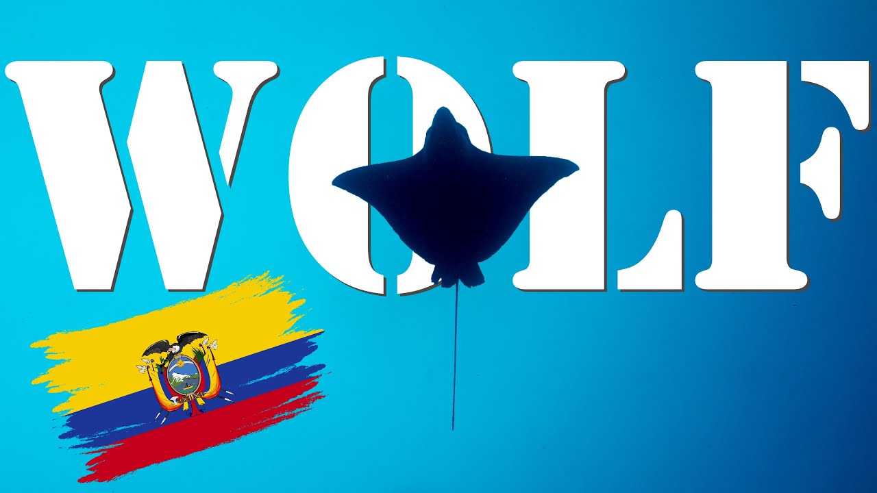 Diving world famous Wolf Island part of the Galapagos