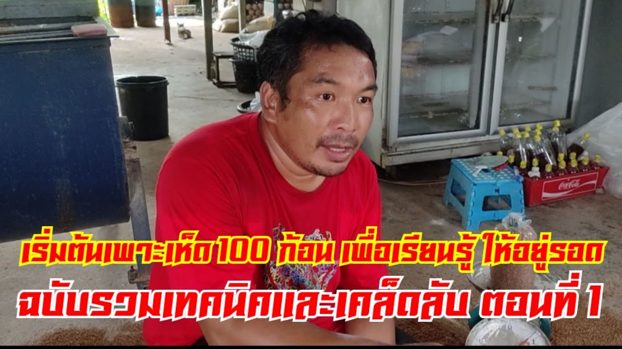 เริ่มต้น #เพาะเห็ดนางฟ้า 100 ก้อนเพื่อเรียนรู้ให้อยู่รอด ฉบับรวมเทคนิคและเคล็ดลับ ตอนที่ 1