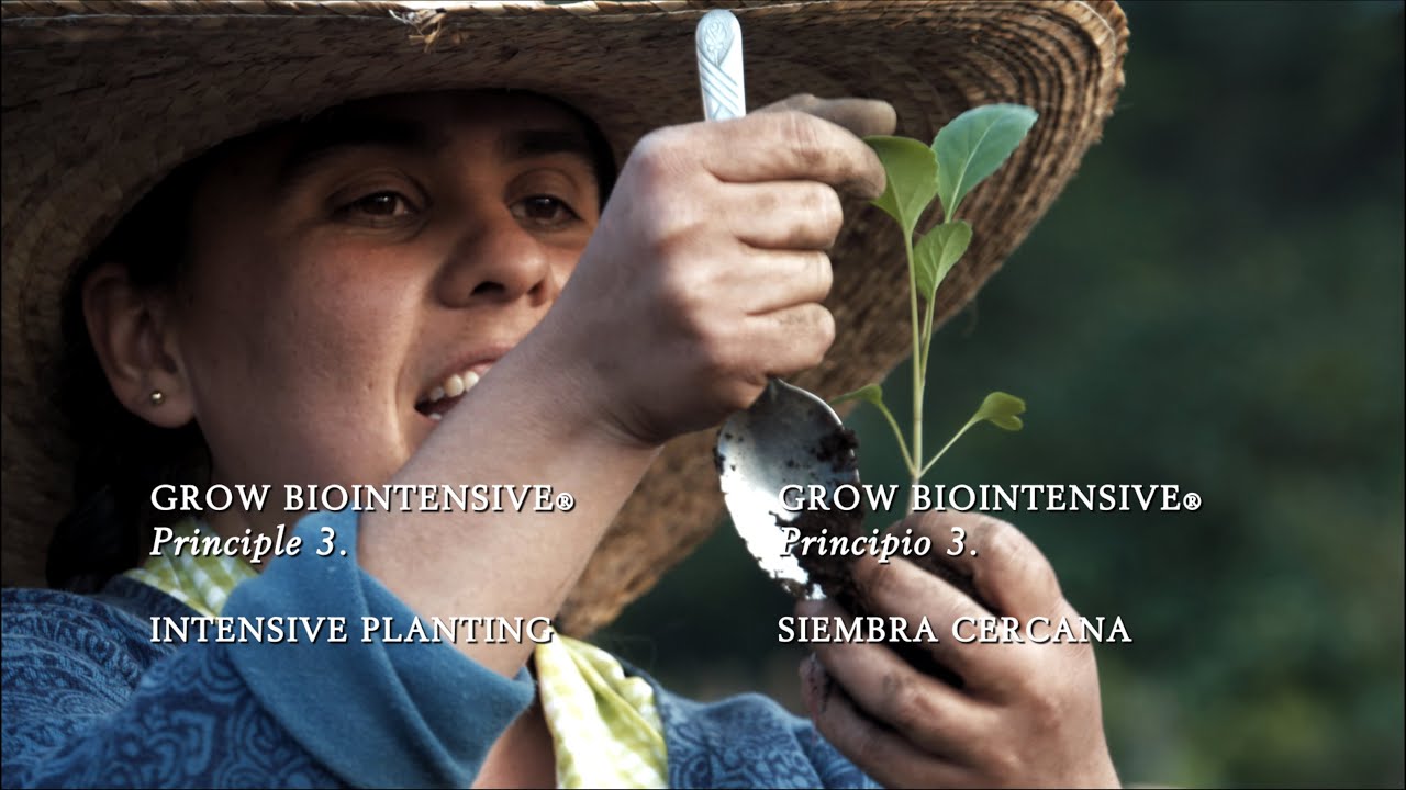 4: Intensive Planting