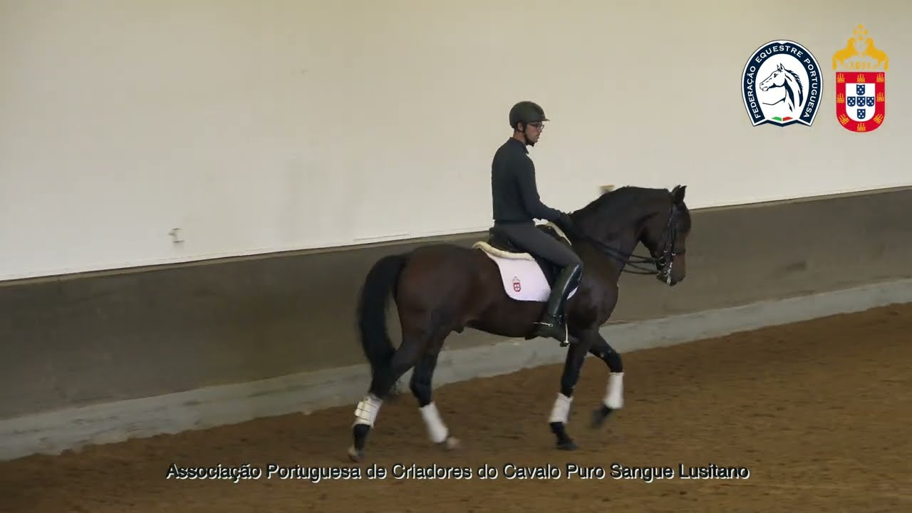 231116 1 João Embaixador com Lancelot do Monte