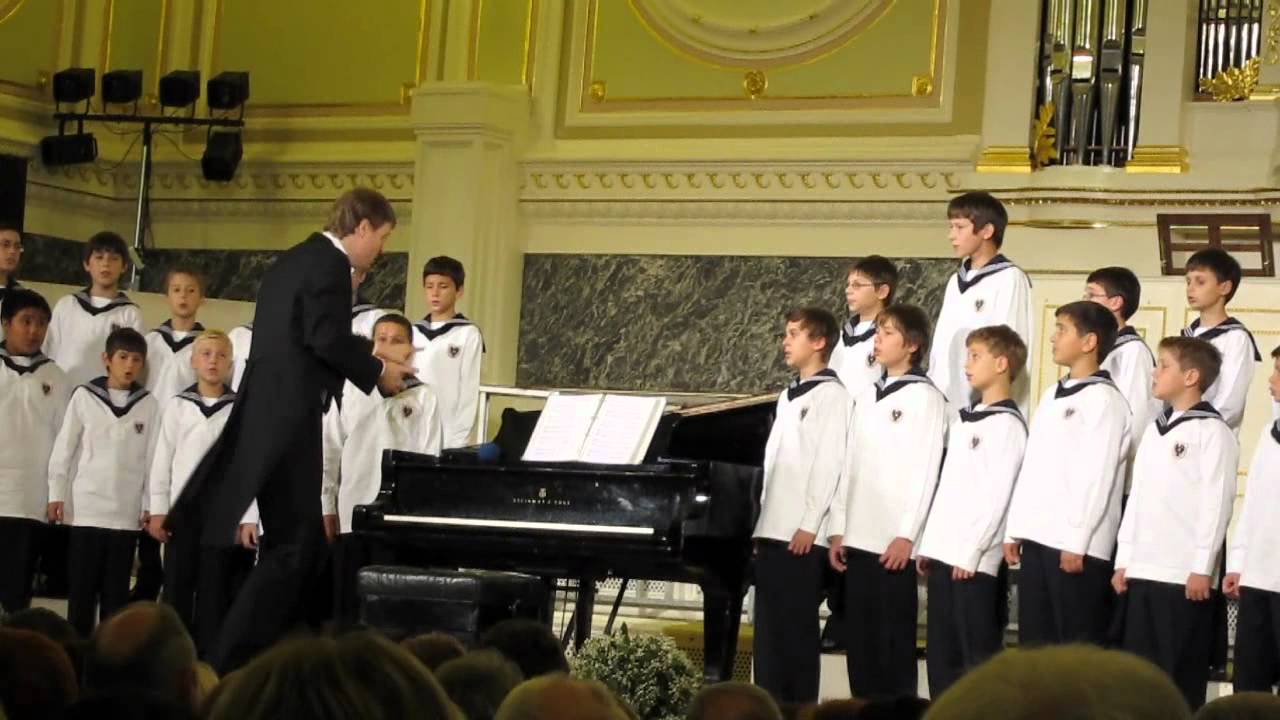 Vienna Boys Choir - Michalle