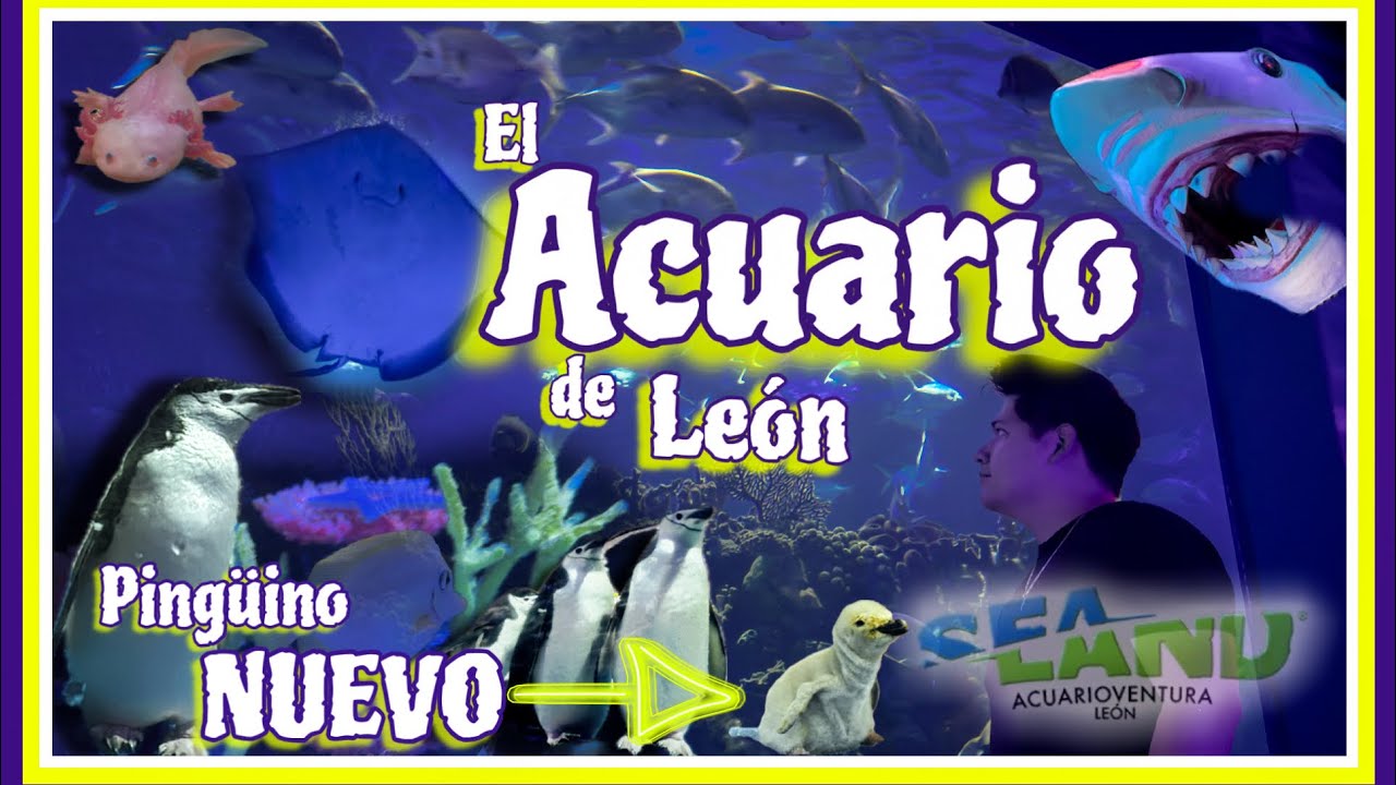 🐠🐧EL ACUARIO DE LEÓN 🐧🐠 SEAND
