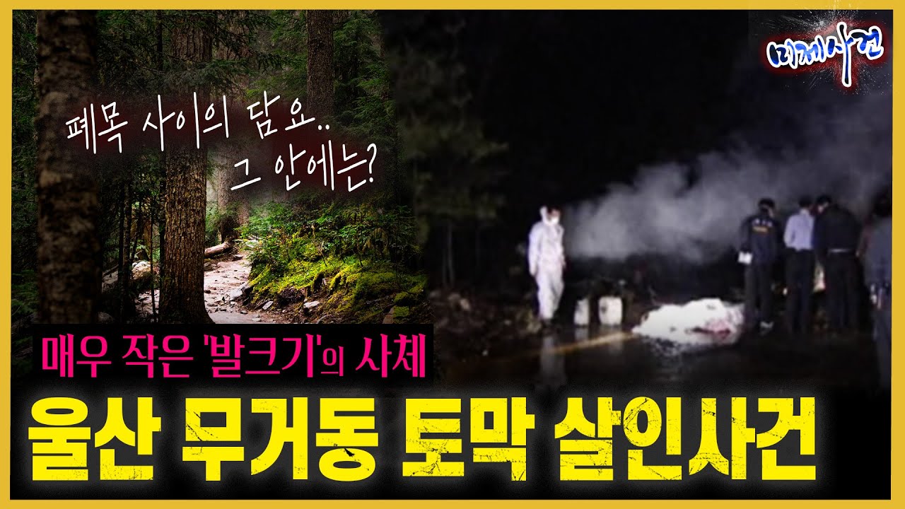 “DNA는 살아있다!!”  언젠가는 신원이 밝혀질 미제사건 - 울산무거동토막살인사건