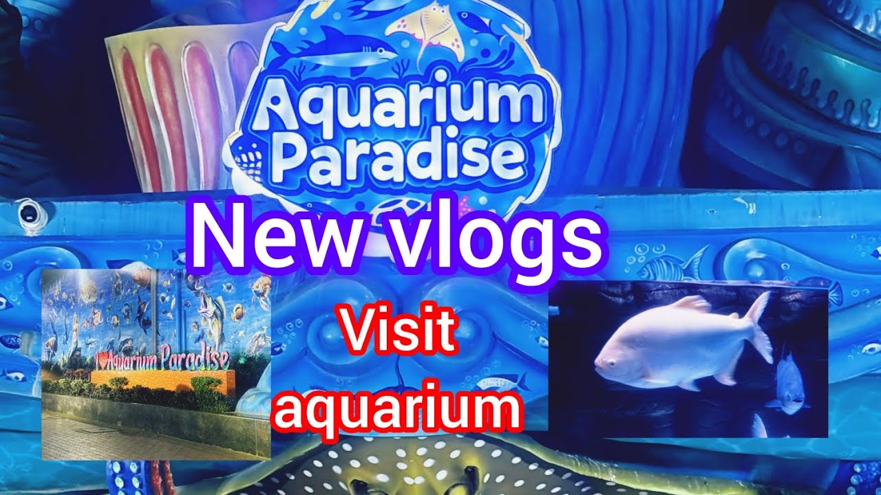 Aquarium paradise visit enjoy the vlog #vlog #terndingvideo #everyone #views 
