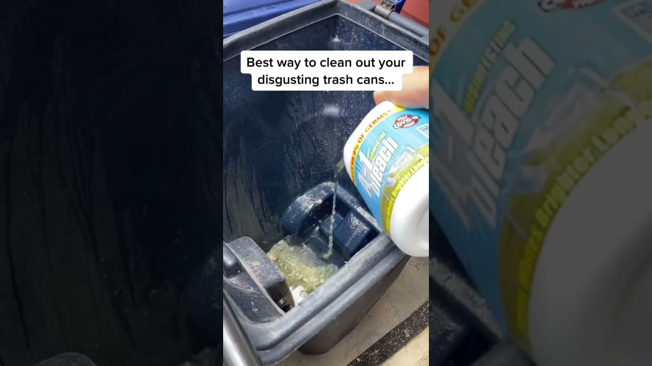 How to clean gross trash can