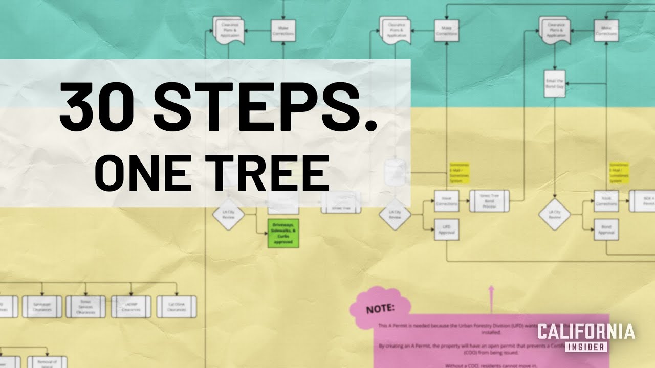 This is What It Takes to Get a Tree Permit in Los Angeles | John Gregorchuk