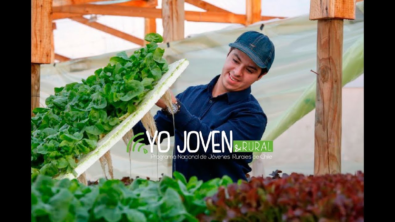 El proceso de un joven emprendedor