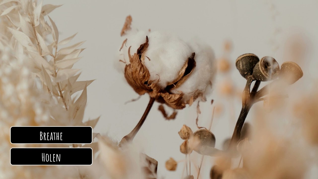 Holen - Breathe
