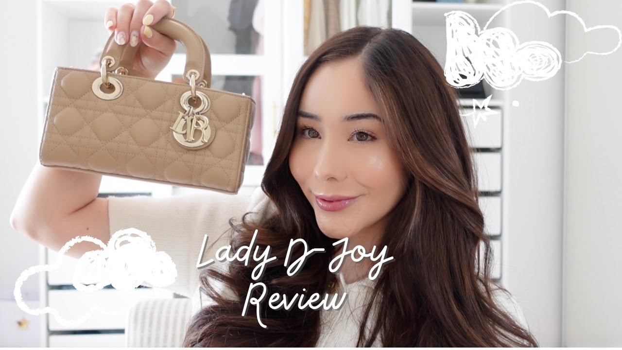 Dior D-Joy Handbag Review