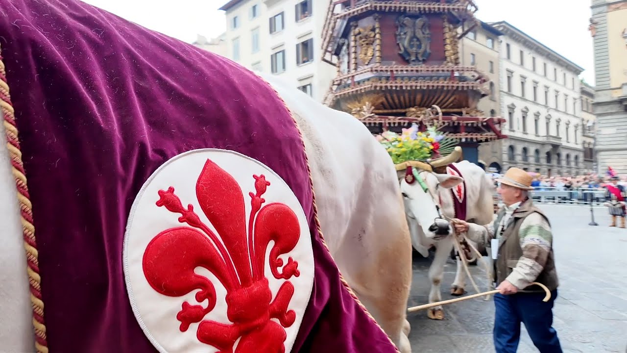 💜⚜️🕊 Scoppio del Carro Firenze 2024: il nostro videoreportage 💜⚜️🕊