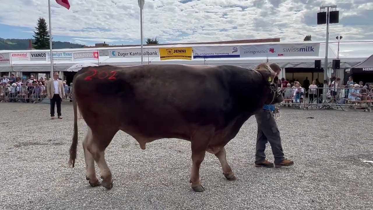 Zuger Stierenmarkt 22 Misterwahl BS