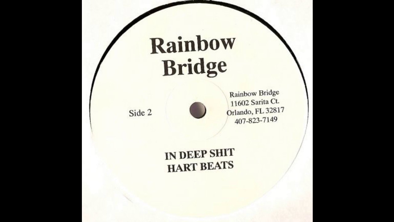 Rainbow Bridge - In Deep Shit