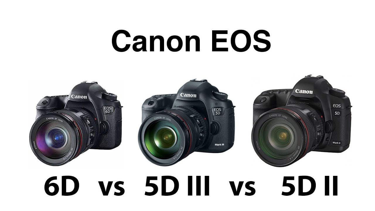 Canon EOS 6D vs 5D III vs 5D II comparison