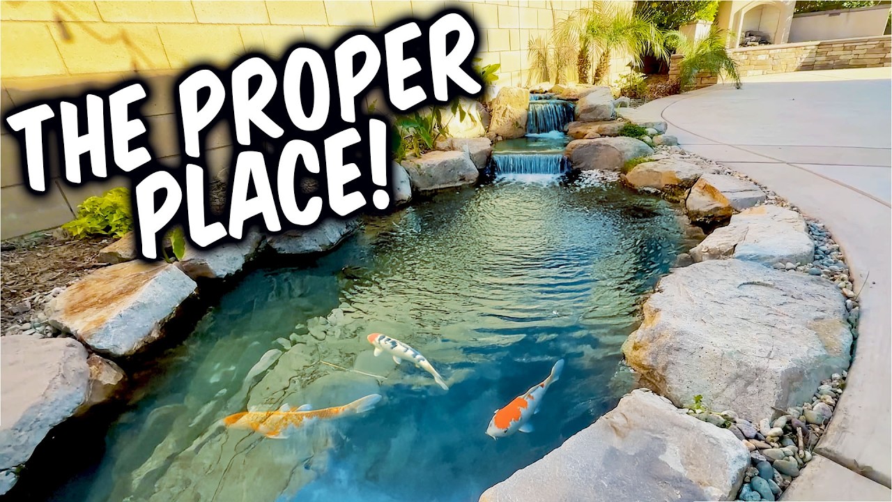 $12,000  8x11 Backyard Pond