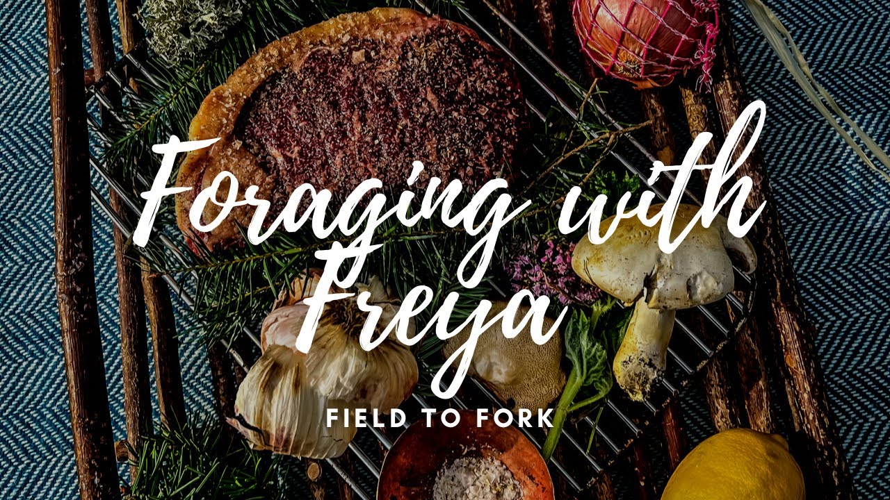 Mushroom Foraging with Freya - Steak and Venison Ending - Hunter Gatherer Cooking HGC